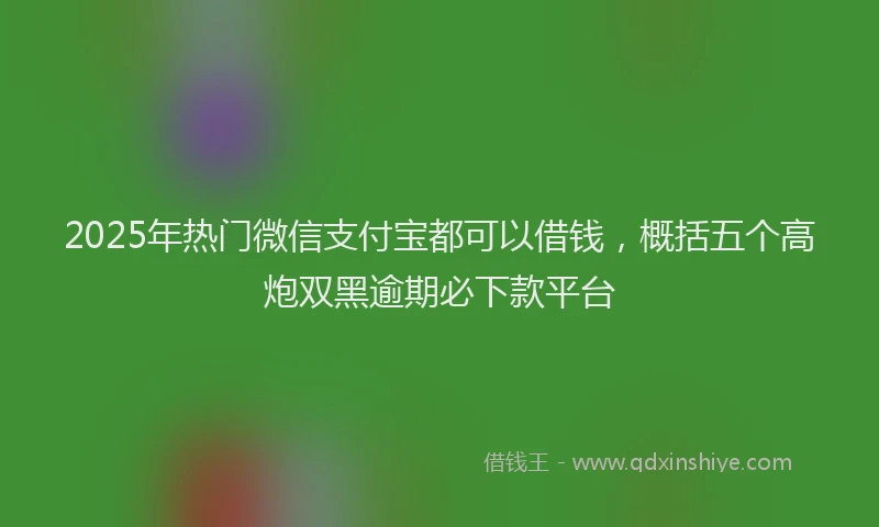 2025年热门微信支付宝都可以借钱，概括五个高炮双黑逾期必下款平台