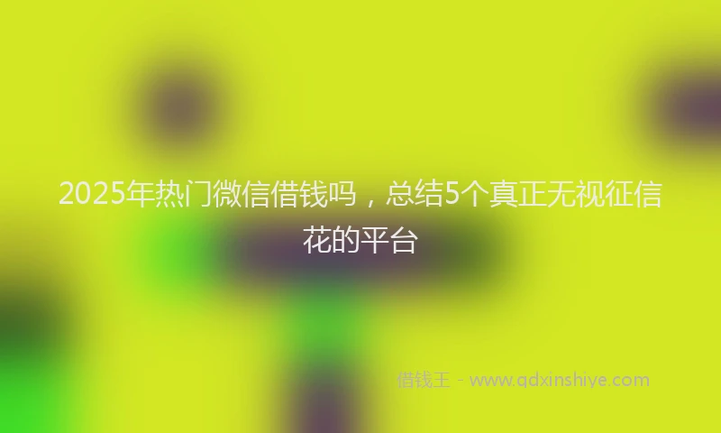 2025年热门微信借钱吗，总结5个真正无视征信花的平台