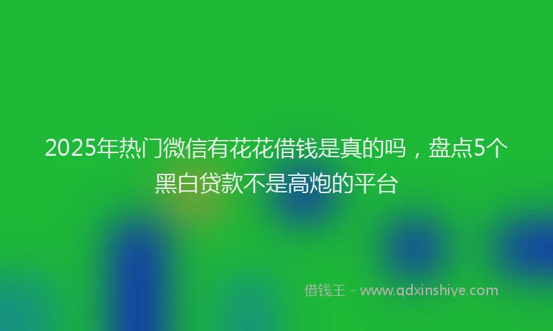 2025年热门微信有花花借钱是真的吗，盘点5个黑白贷款不是高炮的平台