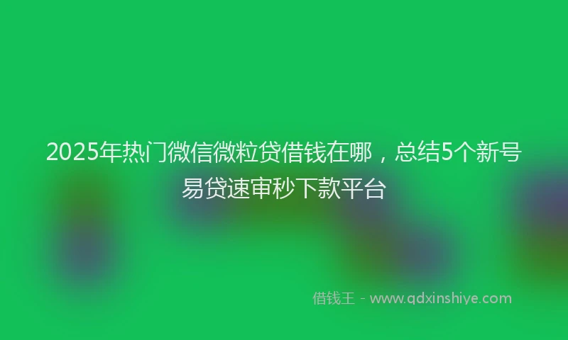 2025年热门微信微粒贷借钱在哪，总结5个新号易贷速审秒下款平台