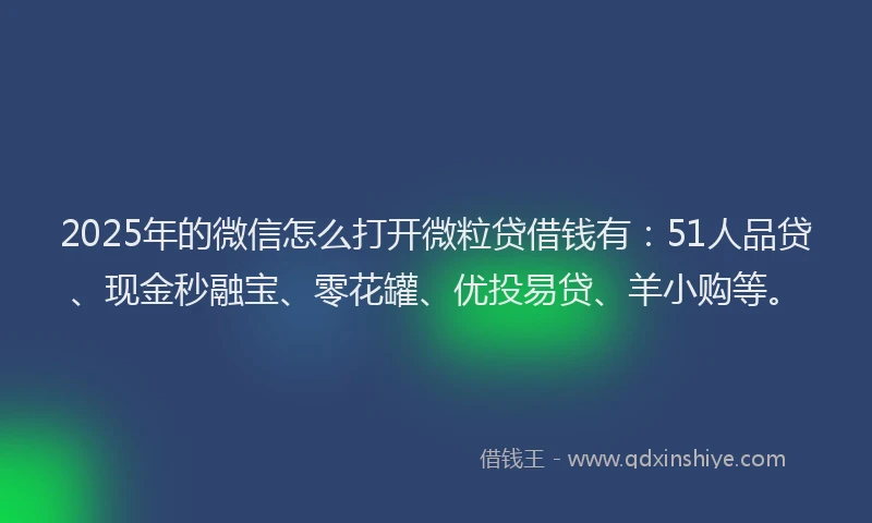 2025年的微信怎么打开微粒贷借钱有：51人品贷、现金秒融宝、零花罐、优投易贷、羊小购等。
