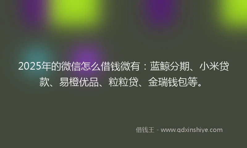 2025年的微信怎么借钱微有：蓝鲸分期、小米贷款、易橙优品、粒粒贷、金瑞钱包等。