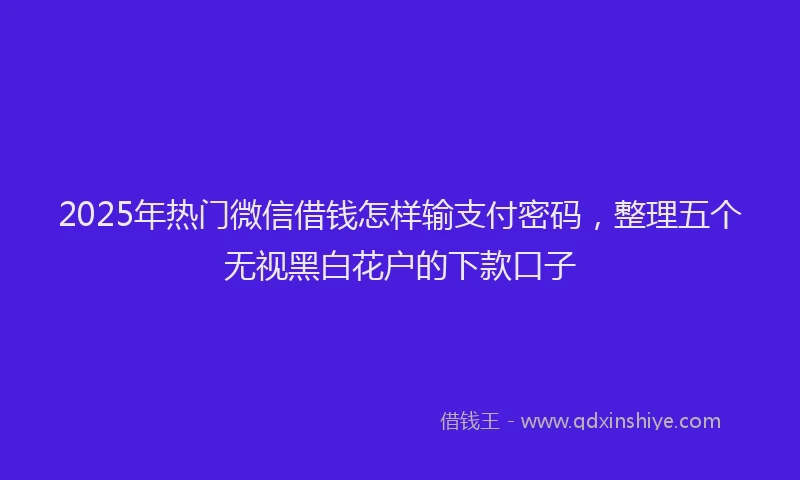 2025年热门微信借钱怎样输支付密码，整理五个无视黑白花户的下款口子