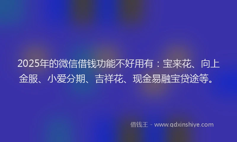 2025年的微信借钱功能不好用有：宝来花、向上金服、小爱分期、吉祥花、现金易融宝贷途等。