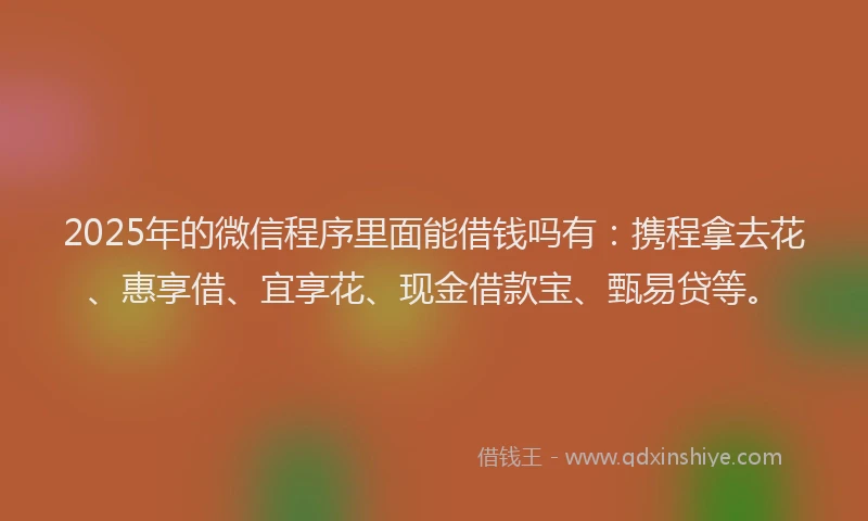 2025年的微信程序里面能借钱吗有：携程拿去花、惠享借、宜享花、现金借款宝、甄易贷等。