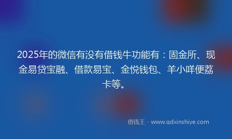 2025年的微信有没有借钱牛功能有：固金所、现金易贷宝融、借款易宝、金悦钱包、羊小咩便荔卡等。