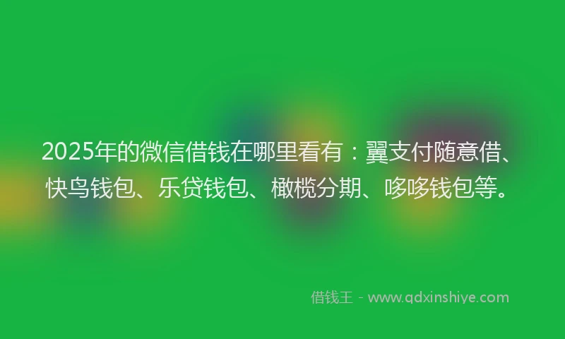 2025年的微信借钱在哪里看有：翼支付随意借、快鸟钱包、乐贷钱包、橄榄分期、哆哆钱包等。