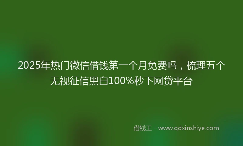 2025年热门微信借钱第一个月免费吗，梳理五个无视征信黑白100%秒下网贷平台