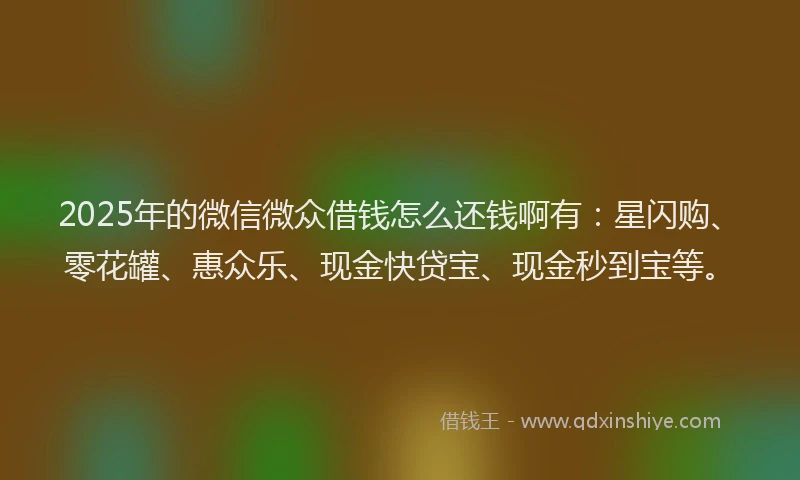 2025年的微信微众借钱怎么还钱啊有：星闪购、零花罐、惠众乐、现金快贷宝、现金秒到宝等。