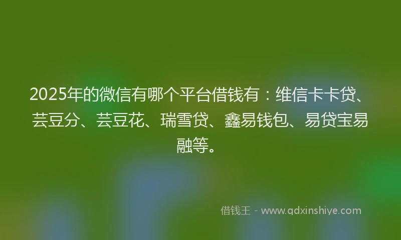 2025年的微信有哪个平台借钱有：维信卡卡贷、芸豆分、芸豆花、瑞雪贷、鑫易钱包、易贷宝易融等。
