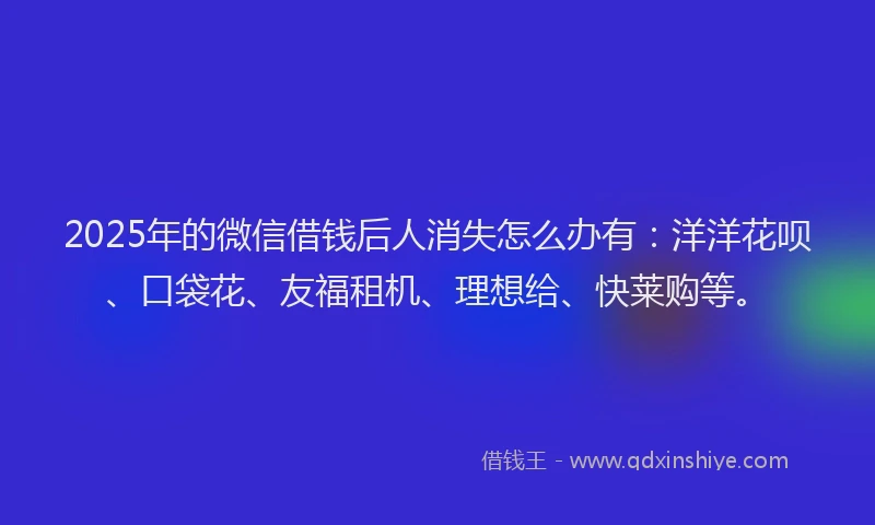 2025年的微信借钱后人消失怎么办有：洋洋花呗、口袋花、友福租机、理想给、快莱购等。