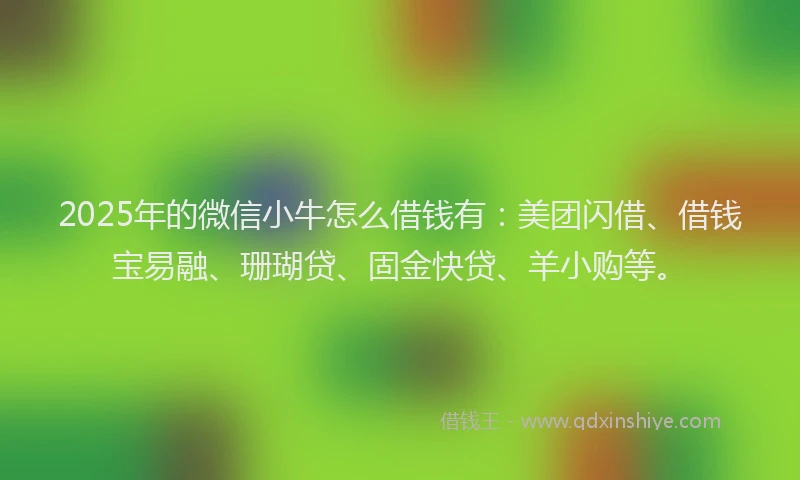 2025年的微信小牛怎么借钱有：美团闪借、借钱宝易融、珊瑚贷、固金快贷、羊小购等。