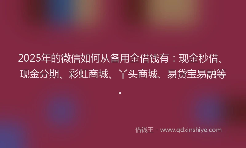2025年的微信如何从备用金借钱有：现金秒借、现金分期、彩虹商城、丫头商城、易贷宝易融等。