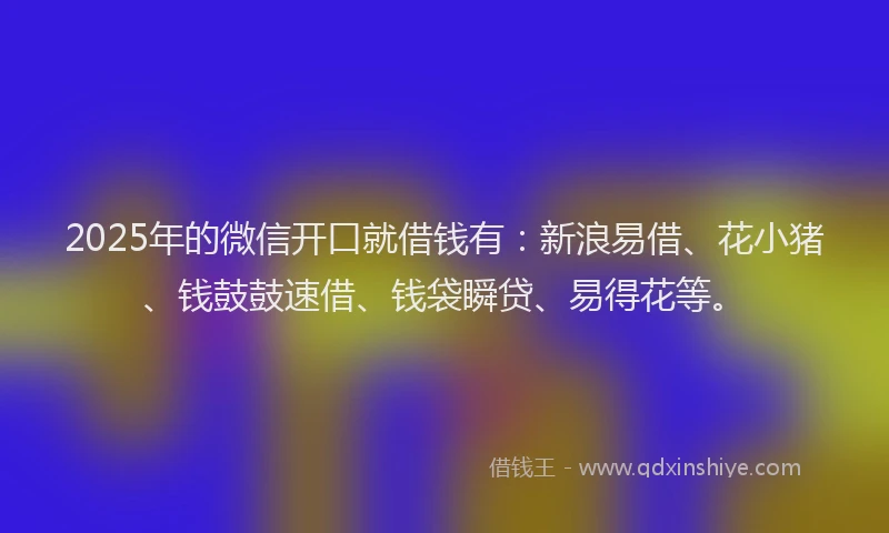 2025年的微信开口就借钱有：新浪易借、花小猪、钱鼓鼓速借、钱袋瞬贷、易得花等。