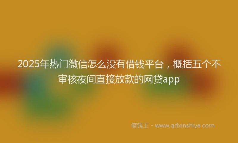 2025年热门微信怎么没有借钱平台，概括五个不审核夜间直接放款的网贷app