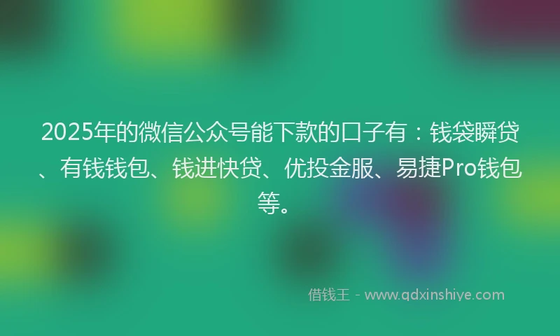 2025年的微信公众号能下款的口子有：钱袋瞬贷、有钱钱包、钱进快贷、优投金服、易捷Pro钱包等。
