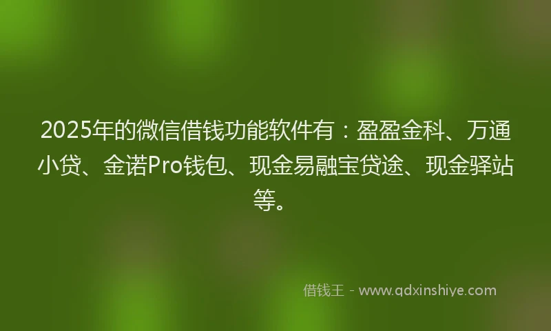 2025年的微信借钱功能软件有：盈盈金科、万通小贷、金诺Pro钱包、现金易融宝贷途、现金驿站等。