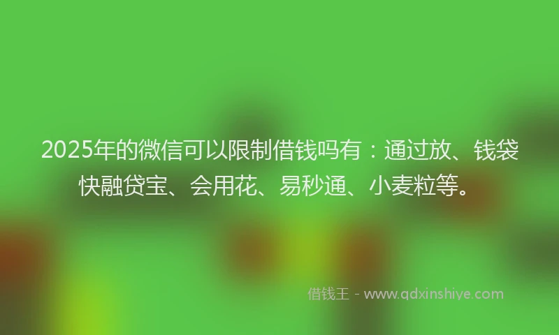 2025年的微信可以限制借钱吗有：通过放、钱袋快融贷宝、会用花、易秒通、小麦粒等。