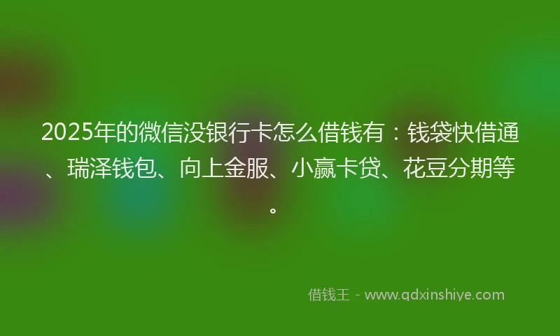 2025年的微信没银行卡怎么借钱有：钱袋快借通、瑞泽钱包、向上金服、小赢卡贷、花豆分期等。