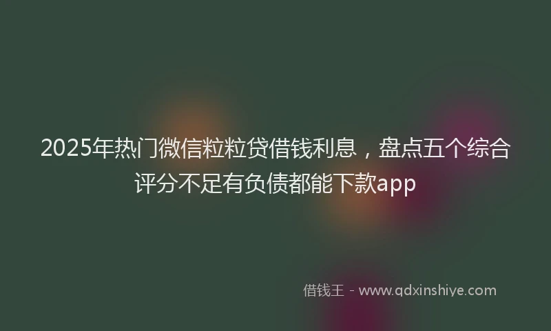2025年热门微信粒粒贷借钱利息，盘点五个综合评分不足有负债都能下款app