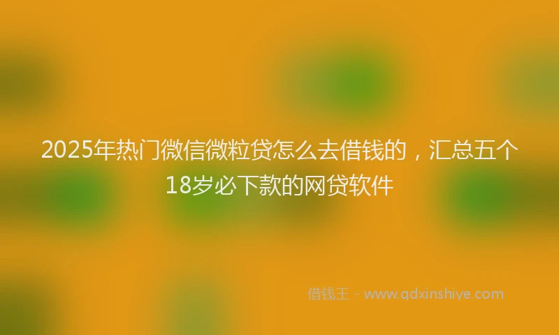 2025年热门微信微粒贷怎么去借钱的，汇总五个18岁必下款的网贷软件
