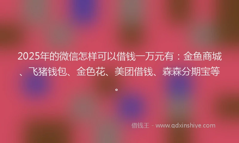 2025年的微信怎样可以借钱一万元有：金鱼商城、飞猪钱包、金色花、美团借钱、森森分期宝等。