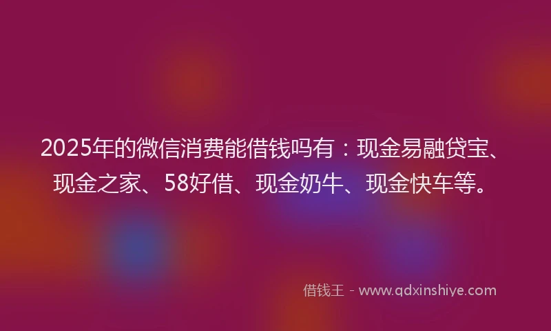 2025年的微信消费能借钱吗有：现金易融贷宝、现金之家、58好借、现金奶牛、现金快车等。