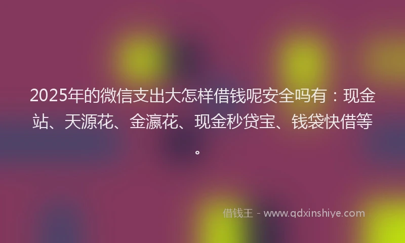 2025年的微信支出大怎样借钱呢安全吗有：现金站、天源花、金瀛花、现金秒贷宝、钱袋快借等。