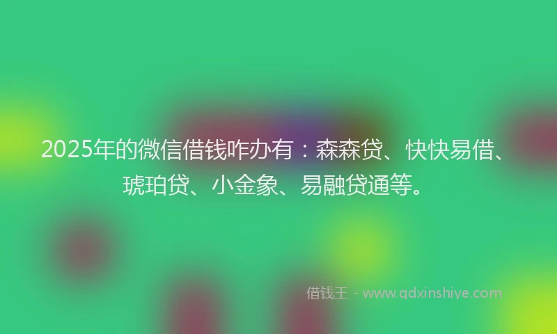 2025年的微信借钱咋办有：森森贷、快快易借、琥珀贷、小金象、易融贷通等。
