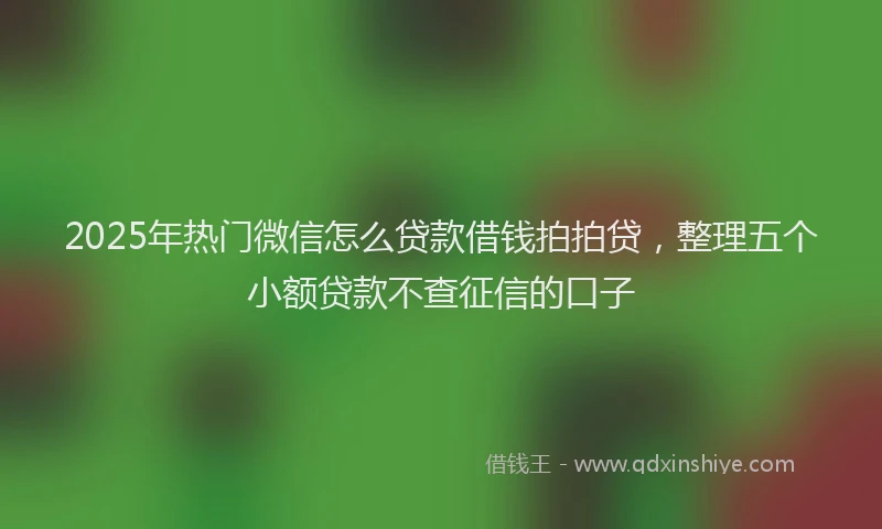 2025年热门微信怎么贷款借钱拍拍贷，整理五个小额贷款不查征信的口子