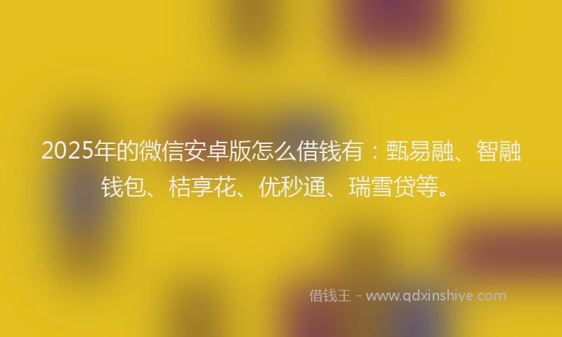2025年的微信安卓版怎么借钱有：甄易融、智融钱包、桔享花、优秒通、瑞雪贷等。
