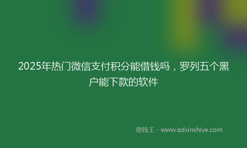 2025年热门微信支付积分能借钱吗，罗列五个黑户能下款的软件