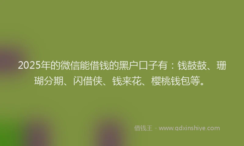 2025年的微信能借钱的黑户口子有：钱鼓鼓、珊瑚分期、闪借侠、钱来花、樱桃钱包等。