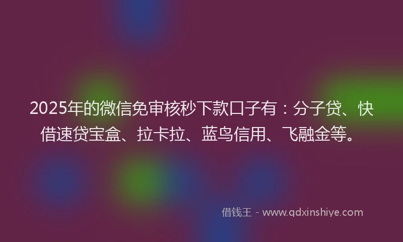 2025年的微信免审核秒下款口子有：分子贷、快借速贷宝盒、拉卡拉、蓝鸟信用、飞融金等。