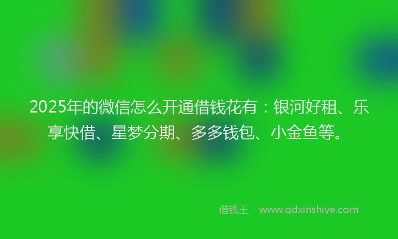 2025年的微信怎么开通借钱花有：银河好租、乐享快借、星梦分期、多多钱包、小金鱼等。