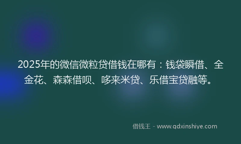 2025年的微信微粒贷借钱在哪有：钱袋瞬借、全金花、森森借呗、哆来米贷、乐借宝贷融等。