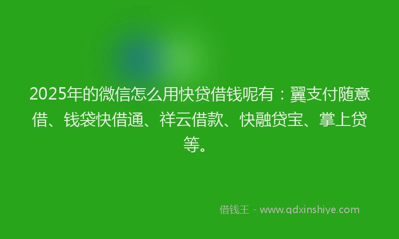 2025年的微信怎么用快贷借钱呢有：翼支付随意借、钱袋快借通、祥云借款、快融贷宝、掌上贷等。