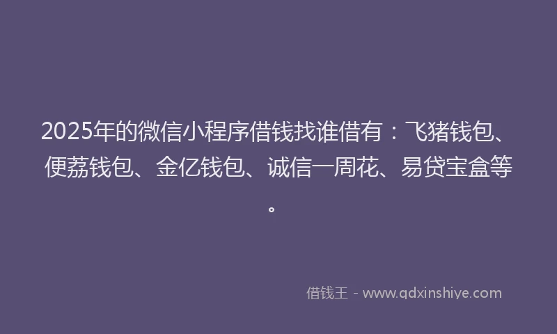 2025年的微信小程序借钱找谁借有：飞猪钱包、便荔钱包、金亿钱包、诚信一周花、易贷宝盒等。
