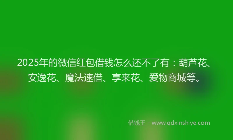 2025年的微信红包借钱怎么还不了有：葫芦花、安逸花、魔法速借、享来花、爱物商城等。