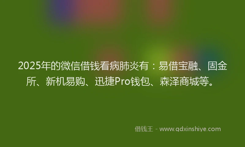 2025年的微信借钱看病肺炎有：易借宝融、固金所、新机易购、迅捷Pro钱包、森泽商城等。