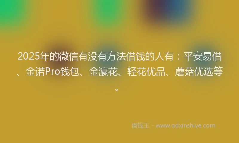 2025年的微信有没有方法借钱的人有：平安易借、金诺Pro钱包、金瀛花、轻花优品、蘑菇优选等。