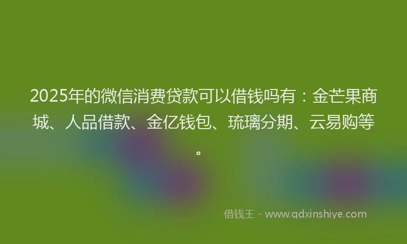 2025年的微信消费贷款可以借钱吗有：金芒果商城、人品借款、金亿钱包、琉璃分期、云易购等。