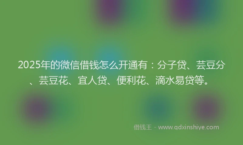 2025年的微信借钱怎么开通有：分子贷、芸豆分、芸豆花、宜人贷、便利花、滴水易贷等。