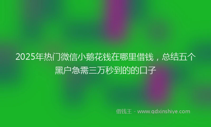 2025年热门微信小鹅花钱在哪里借钱，总结五个黑户急需三万秒到的的口子