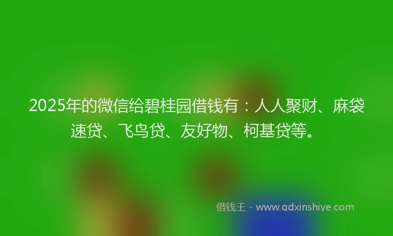 2025年的微信给碧桂园借钱有：人人聚财、麻袋速贷、飞鸟贷、友好物、柯基贷等。