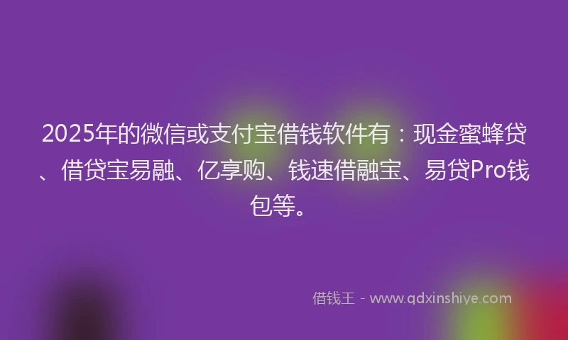 2025年的微信或支付宝借钱软件有：现金蜜蜂贷、借贷宝易融、亿享购、钱速借融宝、易贷Pro钱包等。