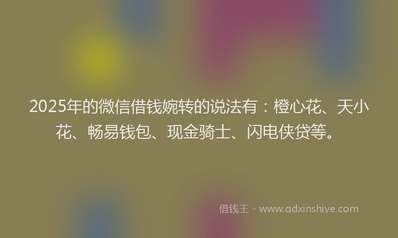 2025年的微信借钱婉转的说法有：橙心花、天小花、畅易钱包、现金骑士、闪电侠贷等。