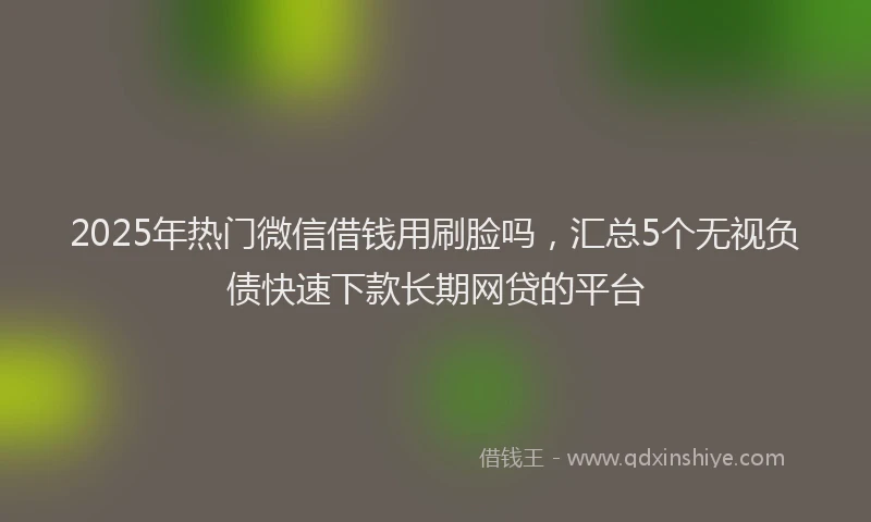 2025年热门微信借钱用刷脸吗，汇总5个无视负债快速下款长期网贷的平台