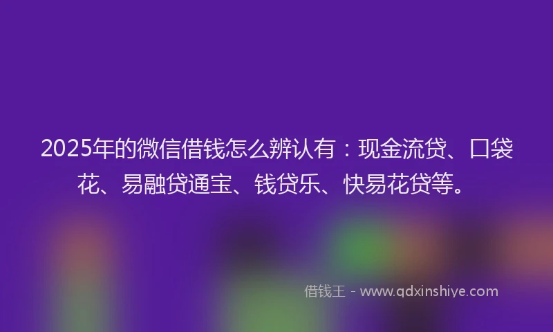 2025年的微信借钱怎么辨认有：现金流贷、口袋花、易融贷通宝、钱贷乐、快易花贷等。