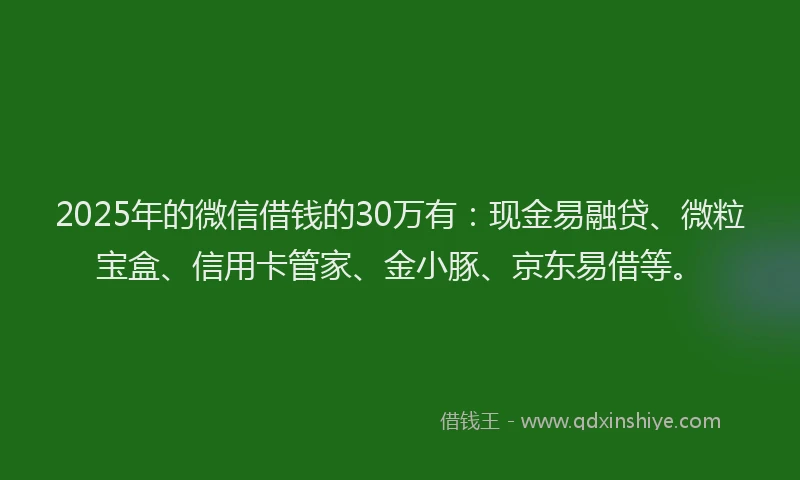2025年的微信借钱的30万有：现金易融贷、微粒宝盒、信用卡管家、金小豚、京东易借等。